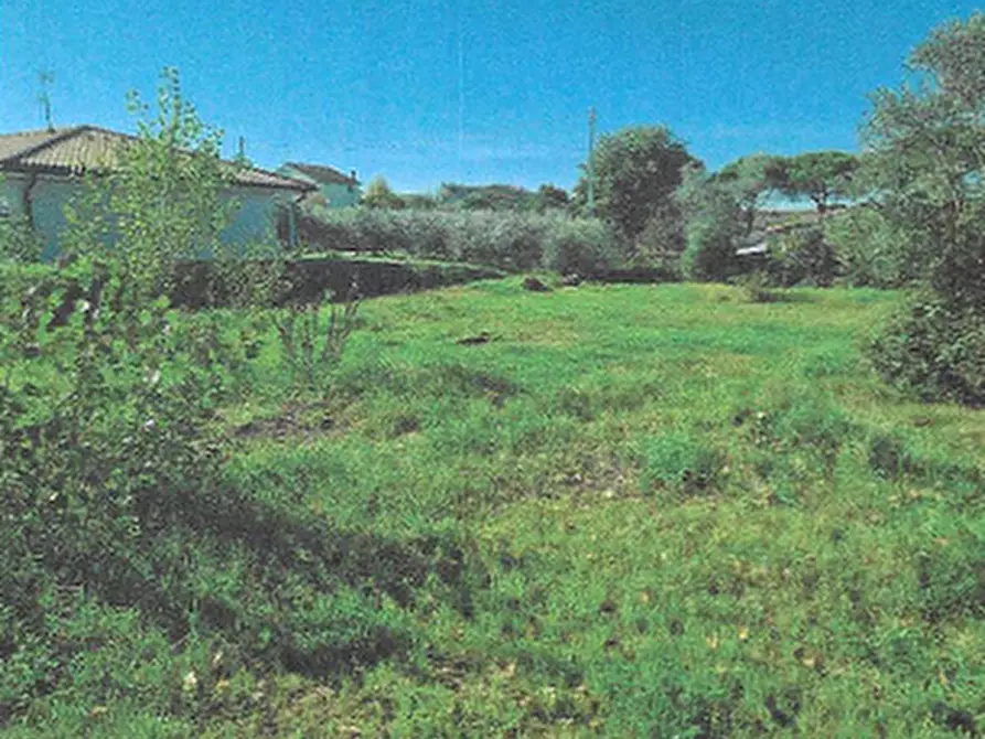 Immagine 3 di Terreno edificabile in vendita  in Via Ignazio Silone a Castiglione Del Lago
