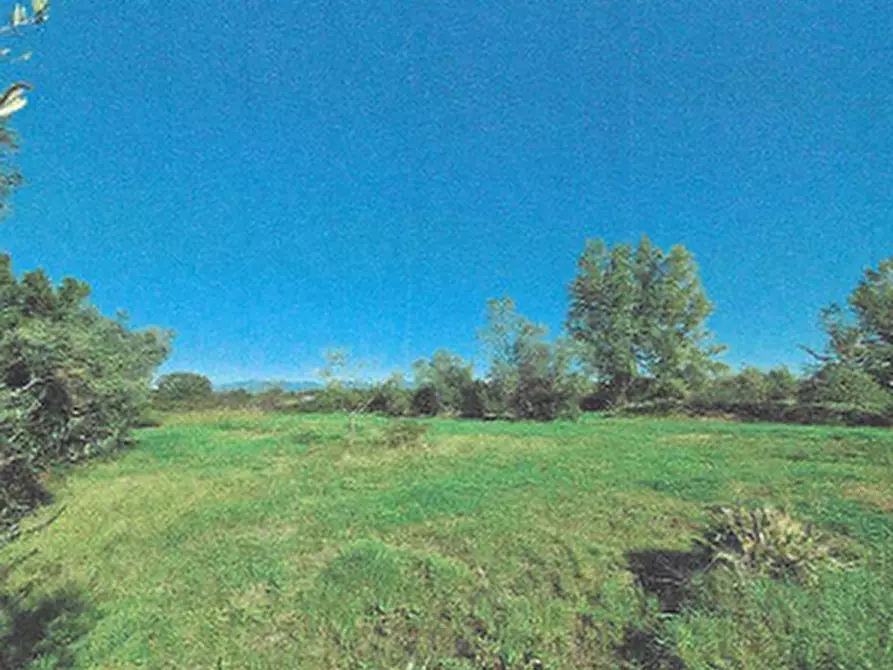 Immagine 4 di Terreno edificabile in vendita  in Via Ignazio Silone a Castiglione Del Lago