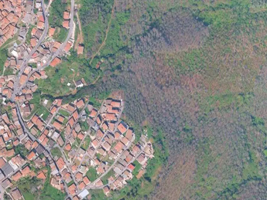 Immagine 14 di Appartamento in vendita  in Via Alcide De Gasperi a Rocca Priora