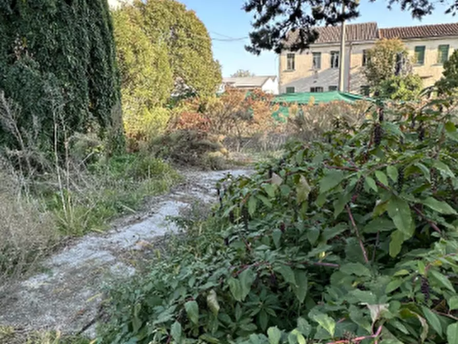 Immagine 5 di Appartamento in vendita  in Via Alcide de Gasperi a San Pietro Di Morubio