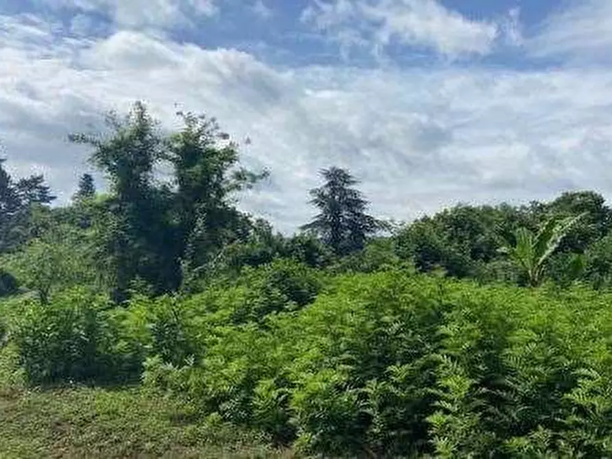 Immagine 3 di Terreno agricolo in vendita  in Via dei Laghi a Velletri