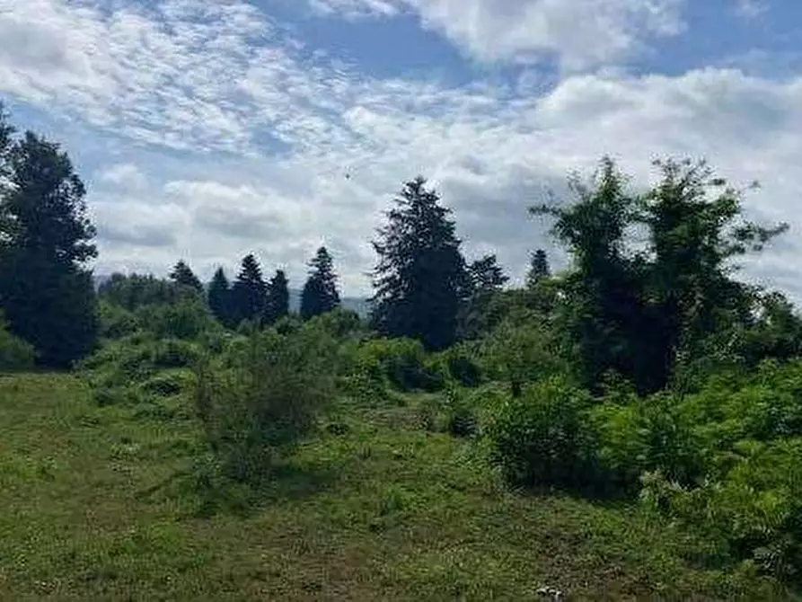 Immagine 5 di Terreno agricolo in vendita  in Via dei Laghi a Velletri