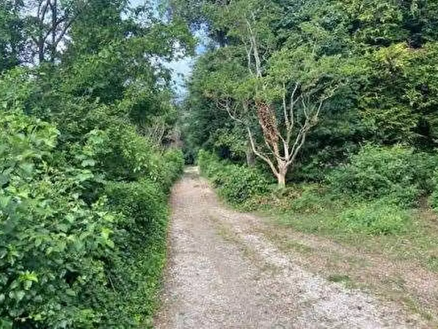 Immagine 6 di Terreno agricolo in vendita  in Via dei Laghi a Velletri