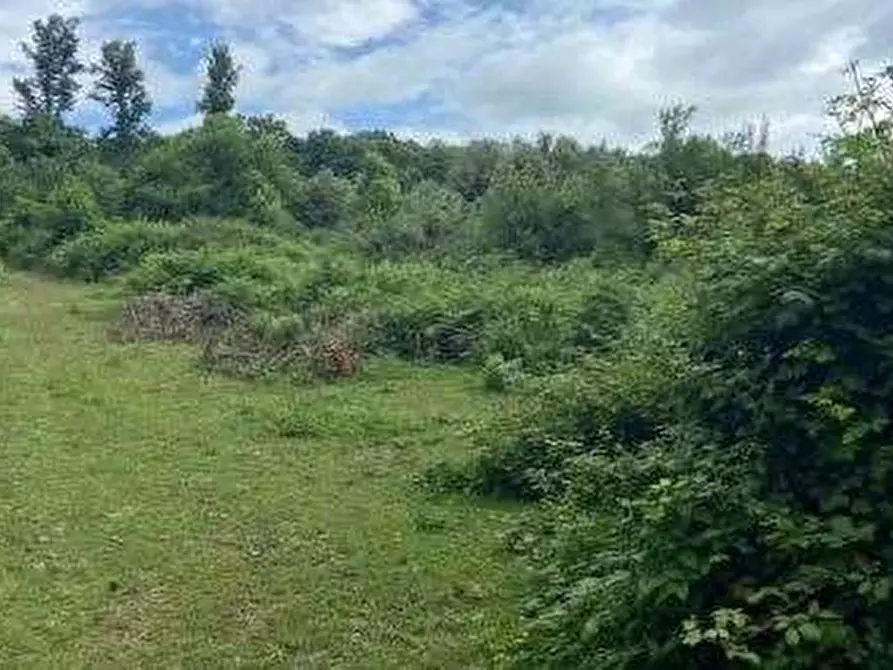 Immagine 1 di Terreno agricolo in vendita  in Via dei Laghi a Velletri