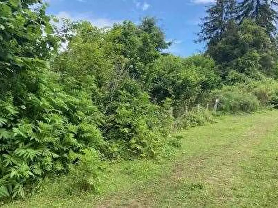 Immagine 2 di Terreno agricolo in vendita  in Via dei Laghi a Velletri
