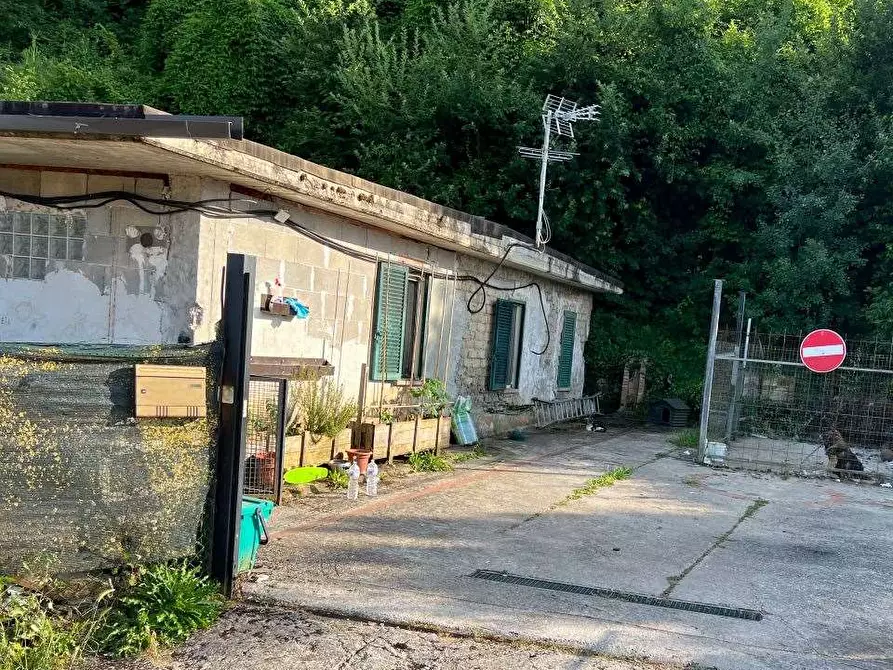 Immagine 2 di Villa in vendita  in Via della Mola a Segni