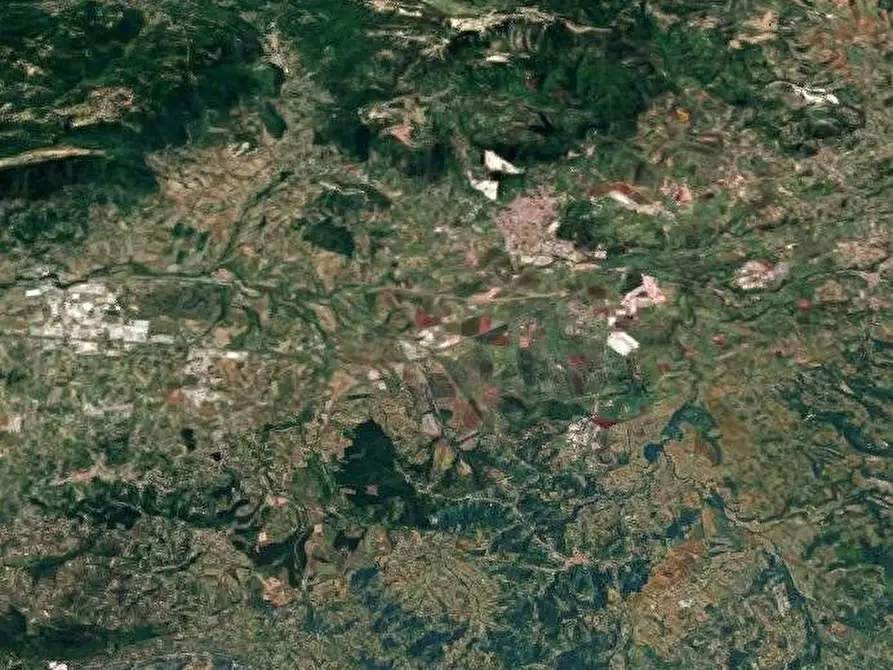 Immagine 11 di Villa in vendita  in Via della Mola a Segni