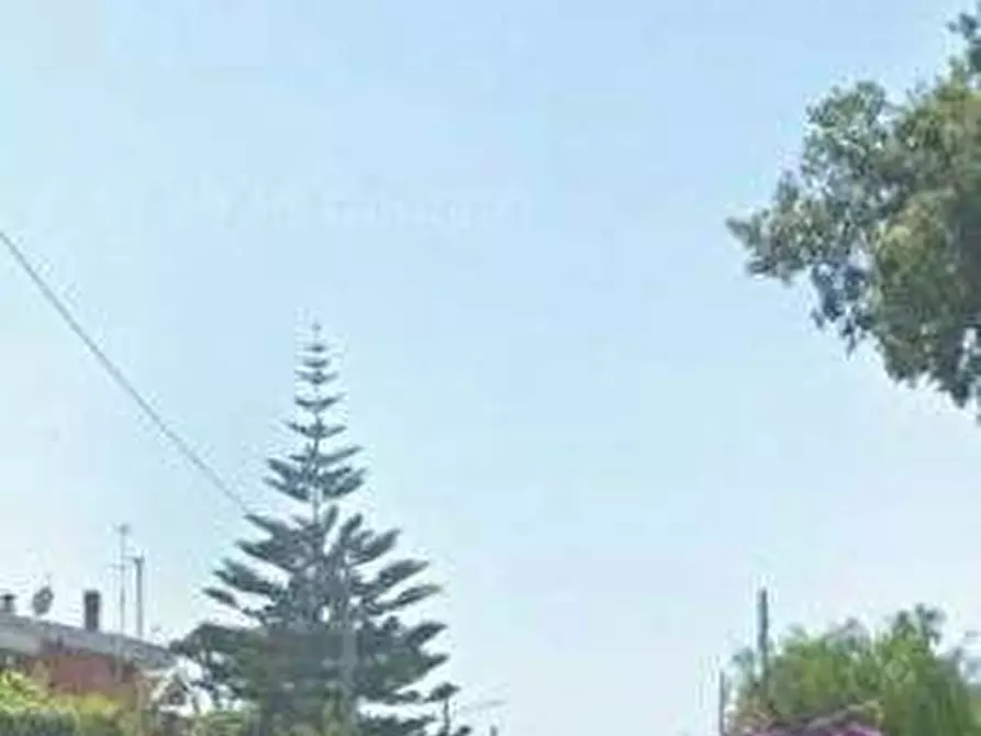 Immagine 5 di Appartamento in vendita  in Viale Roma a Anzio
