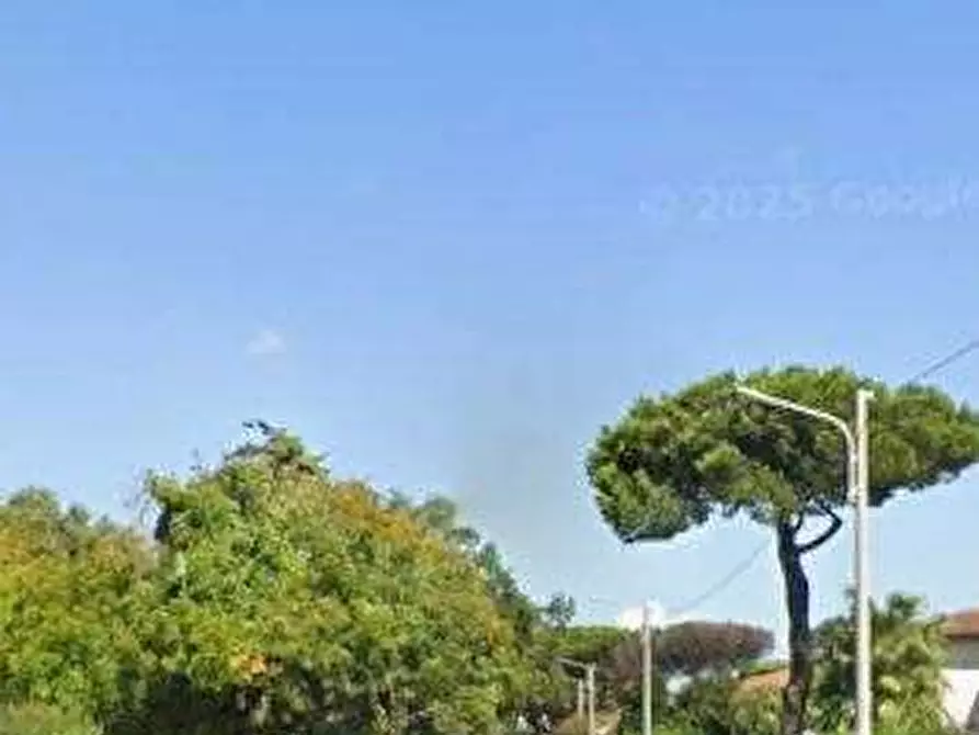 Immagine 6 di Appartamento in vendita  in Viale Roma a Anzio