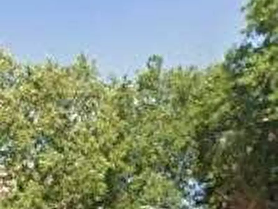 Immagine 2 di Appartamento in vendita  in Via di Villa Bonelli a Roma