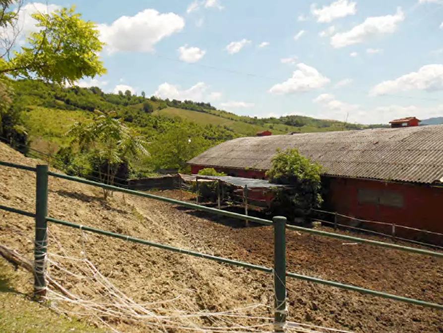 Immagine 3 di Terreno agricolo in vendita  in Via Pediano a Imola