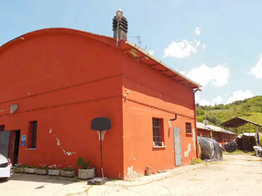 Immagine 4 di Terreno agricolo in vendita  in Via Pediano a Imola