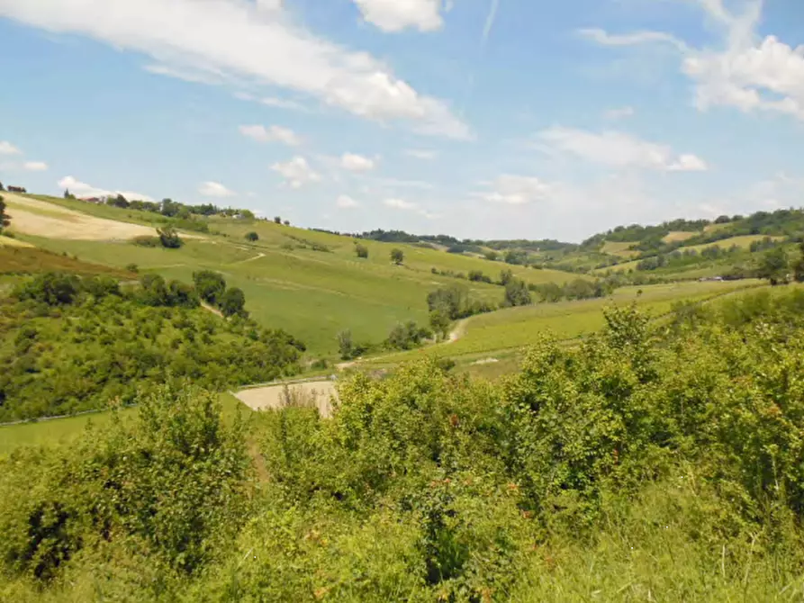 Immagine 5 di Terreno agricolo in vendita  in Via Pediano a Imola