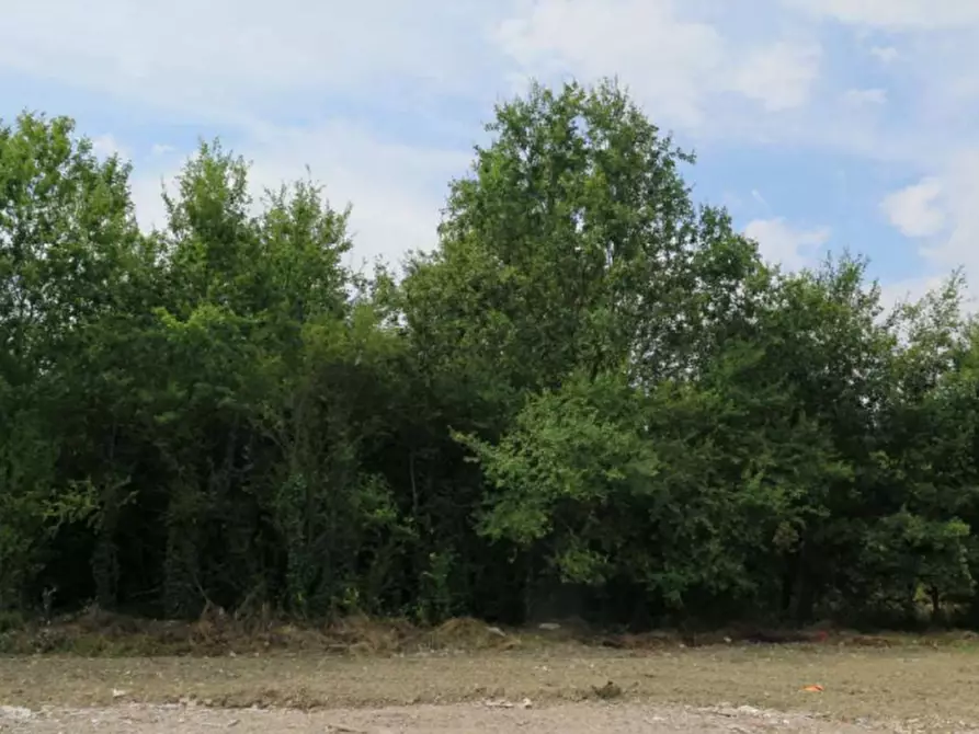 Immagine 3 di Terreno agricolo in vendita  in via Bramante a Castelfranco Emilia