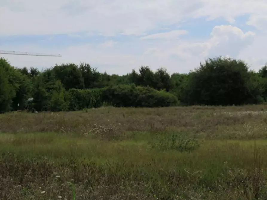 Immagine 6 di Terreno agricolo in vendita  in via Bramante a Castelfranco Emilia