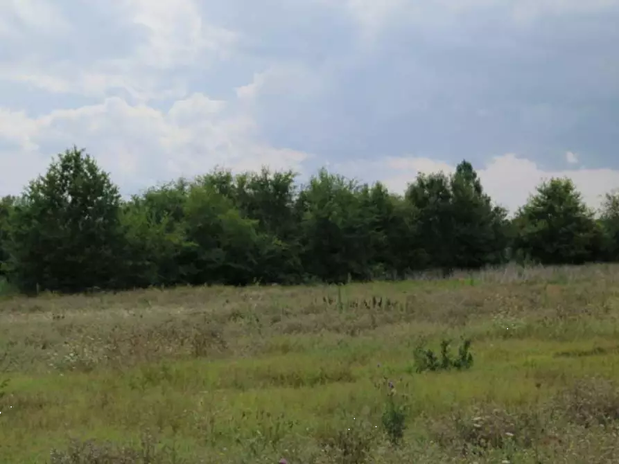 Immagine 8 di Terreno agricolo in vendita  in via Bramante a Castelfranco Emilia