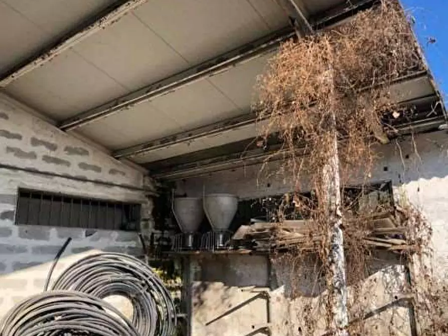 Immagine 28 di Capannone industriale in vendita  in Strada Gandine a Ghedi