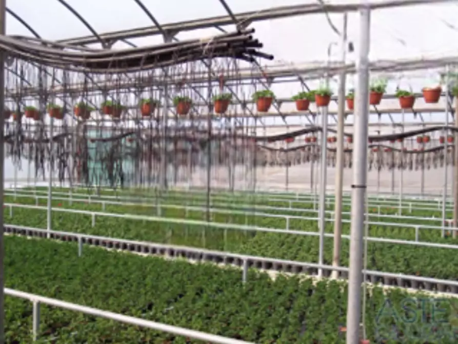 Immagine 9 di Appartamento in vendita  in Via Stelle a Poncarale