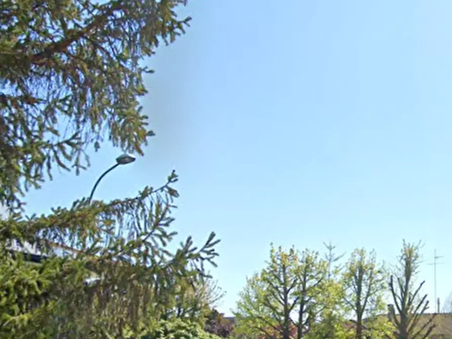 Immagine 7 di Terreno agricolo in vendita  in Via ai Franzeri a Oderzo