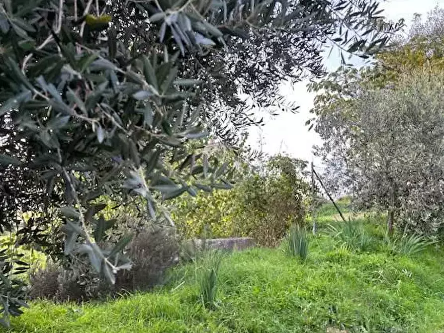 Immagine 5 di Terreno edificabile in vendita  in Via Arnaldo Merlini  a Terre Roveresche