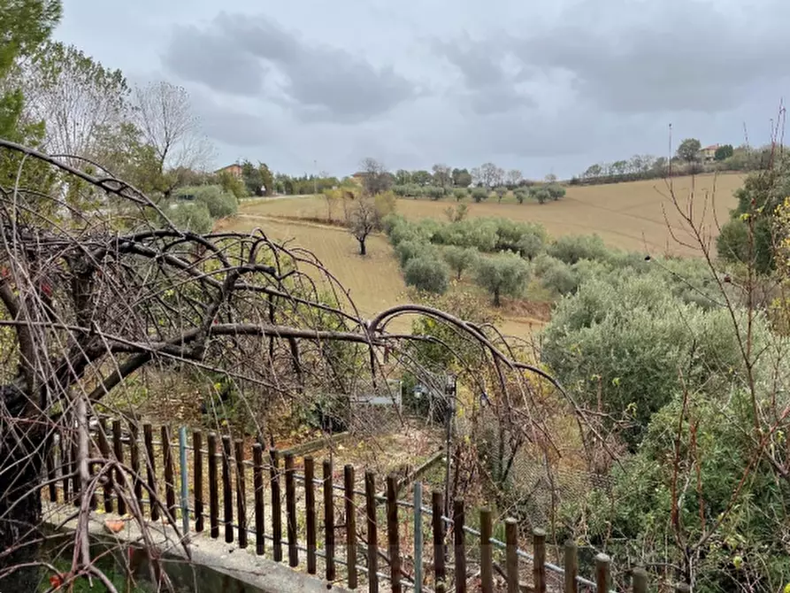 Immagine 1 di Terreno agricolo in vendita  in Via Palazzo a Terre Roveresche