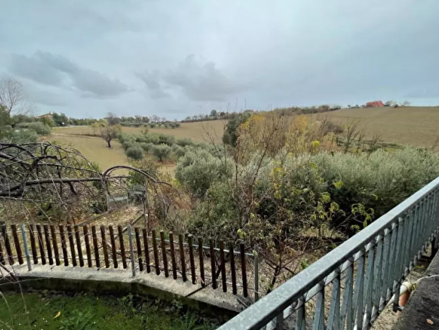 Immagine 3 di Terreno agricolo in vendita  in Via Palazzo a Terre Roveresche