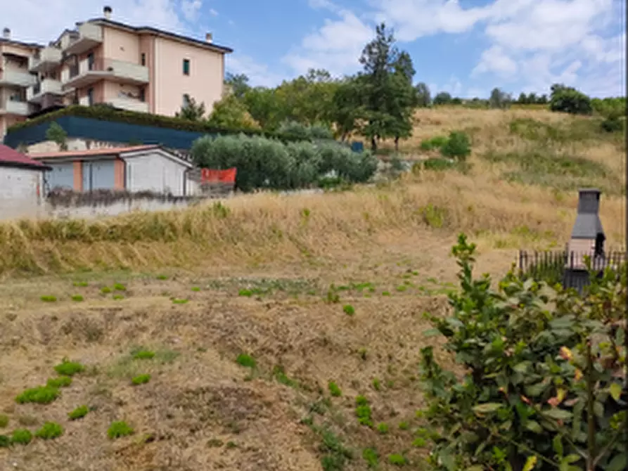 Immagine 1 di Terreno edificabile in vendita  in Contrada San Martino a Fermo