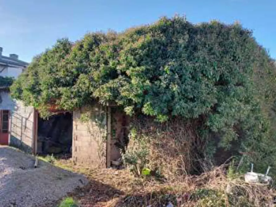 Immagine 6 di Porzione di casa in vendita  in Via Dante Alighieri a Loria