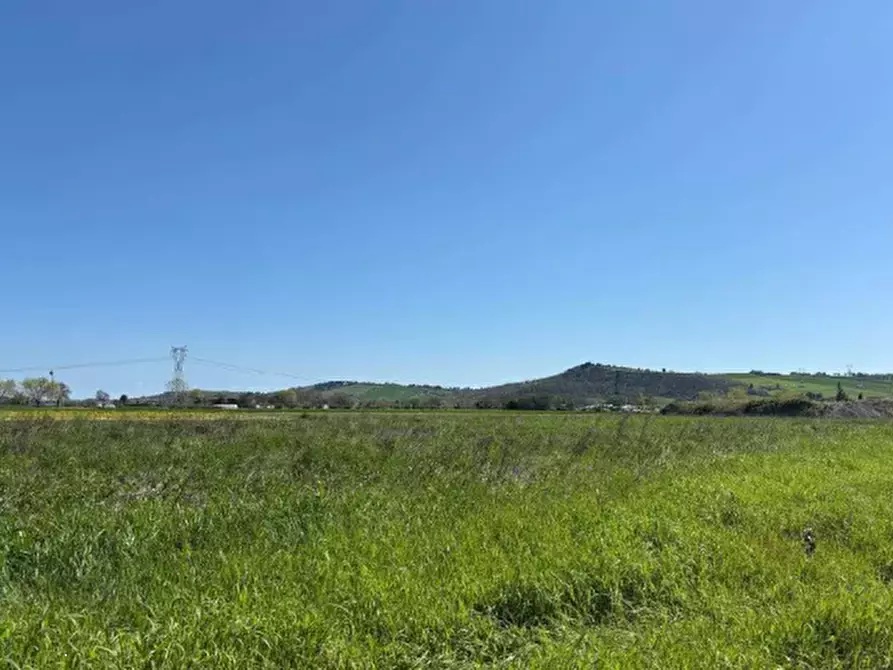 Immagine 1 di Terreno agricolo in vendita  in Via Piagiolino a Monte Porzio