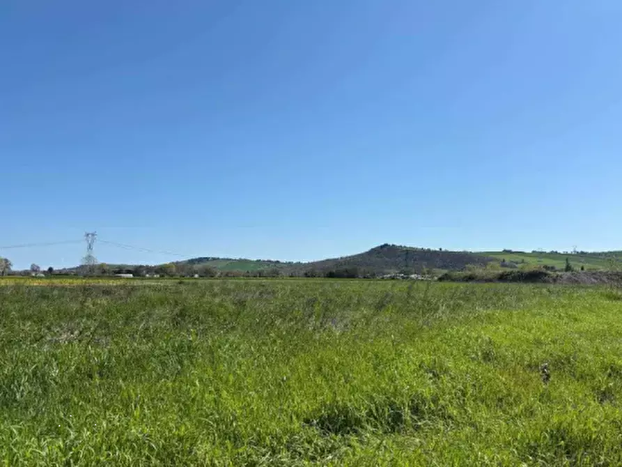 Immagine 2 di Terreno agricolo in vendita  in Via Piagiolino a Monte Porzio