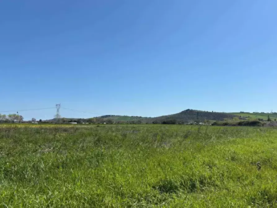 Immagine 3 di Terreno agricolo in vendita  in Via Piagiolino a Monte Porzio
