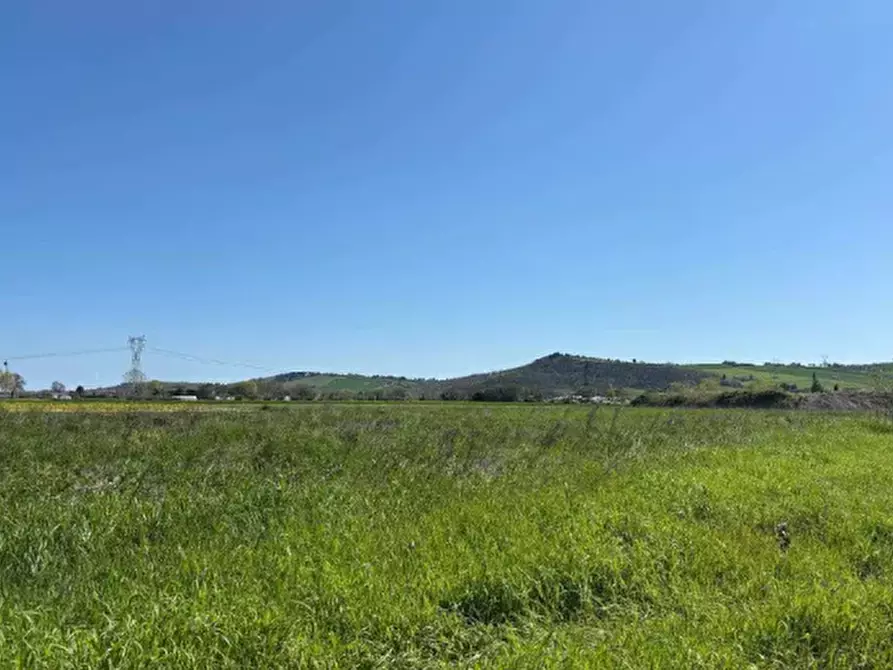 Immagine 5 di Terreno agricolo in vendita  in Via Piagiolino a Monte Porzio