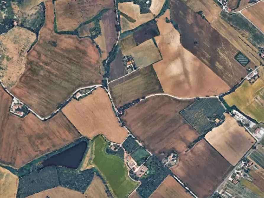 Immagine 8 di Terreno agricolo in vendita  in Via Piagiolino a Monte Porzio