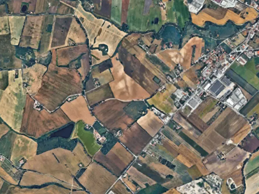 Immagine 9 di Terreno agricolo in vendita  in Via Piagiolino a Monte Porzio