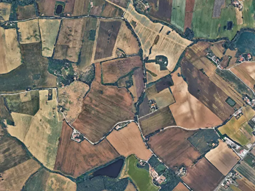 Immagine 11 di Terreno agricolo in vendita  in Via Piagiolino a Monte Porzio