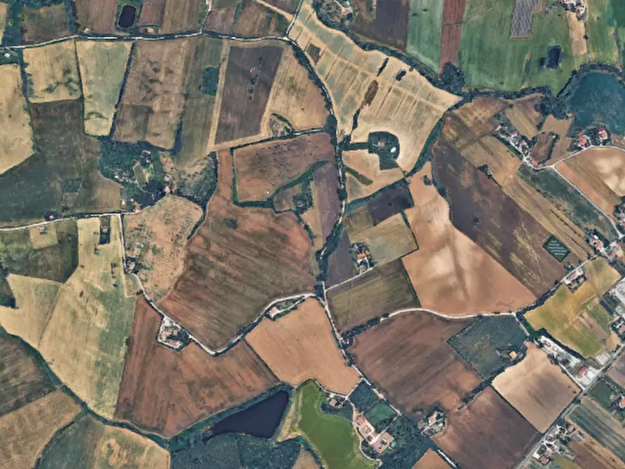 Immagine 12 di Terreno agricolo in vendita  in Via Piagiolino a Monte Porzio