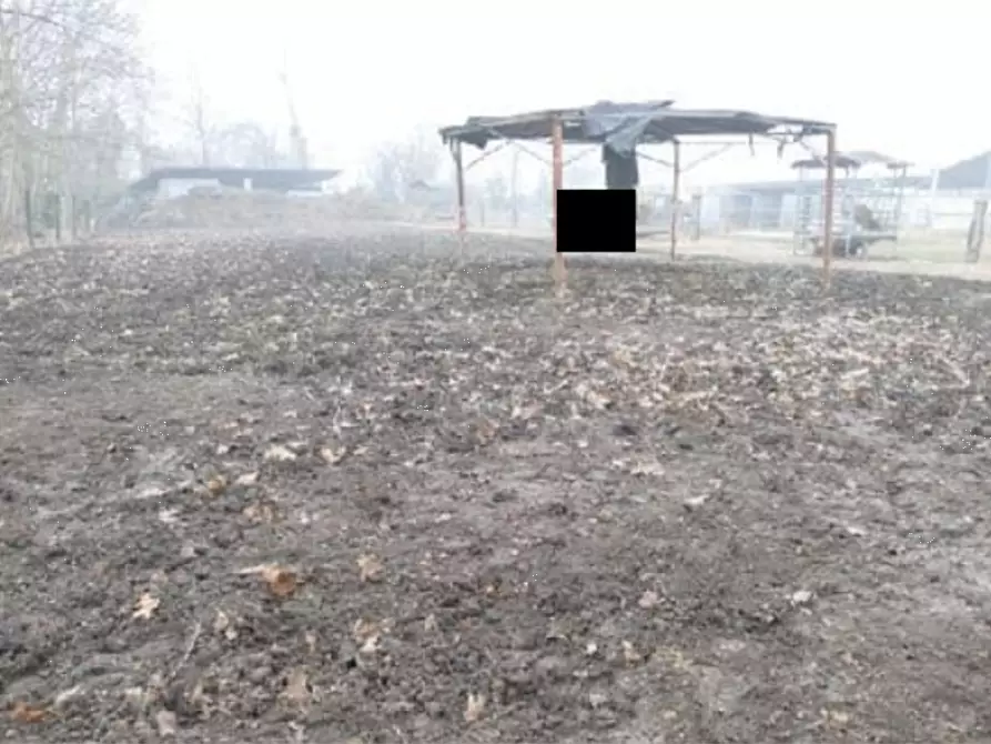 Immagine 3 di Terreno agricolo in vendita  in Località Roncade a Roncade