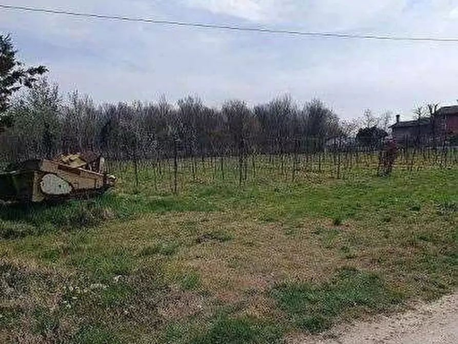 Immagine 3 di Terreno agricolo in vendita  in Via Cornizzai a Pasiano Di Pordenone