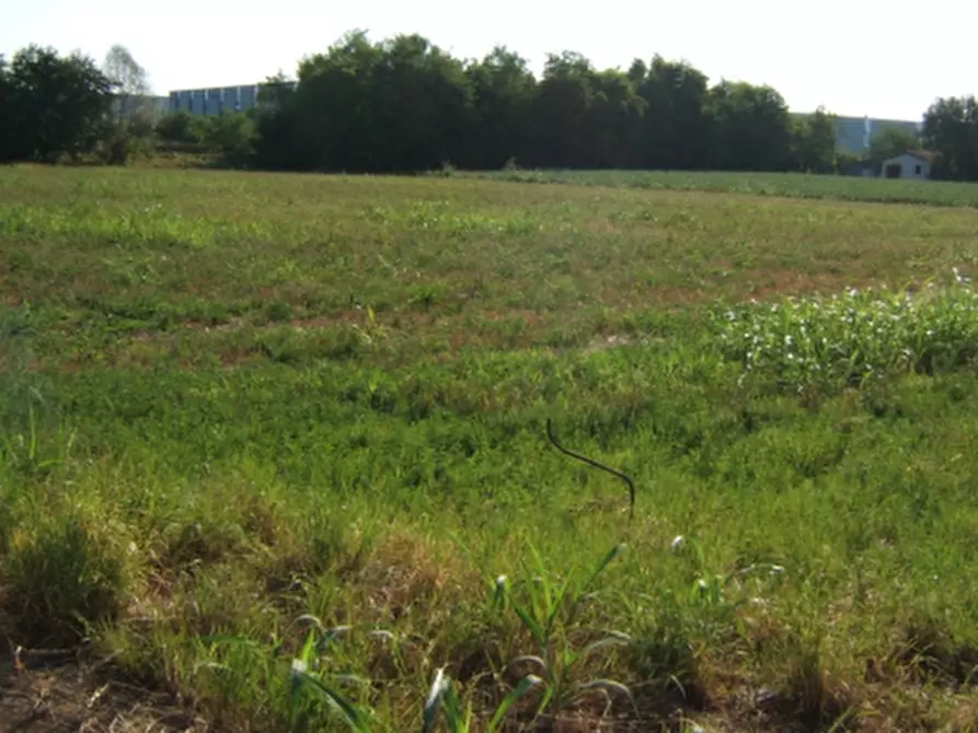 Immagine 1 di Terreno edificabile in vendita  in Via Leonardo da Vinci a Giavera Del Montello