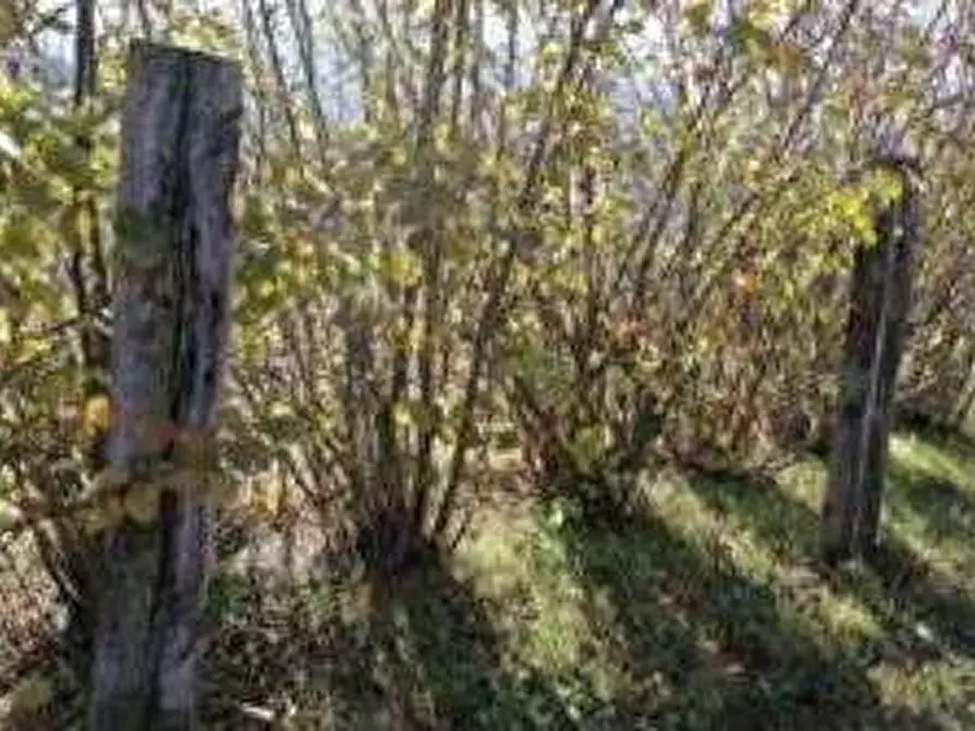 Immagine 4 di Stabile in vendita  in Loc. Pagino a Fermignano