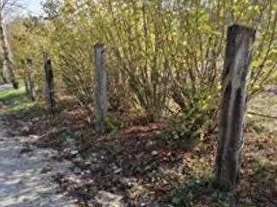 Immagine 5 di Stabile in vendita  in Loc. Pagino a Fermignano