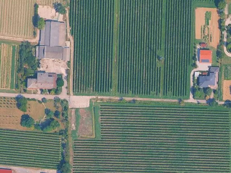 Immagine 6 di Porzione di casa in vendita  in Via Selve a Mogliano Veneto