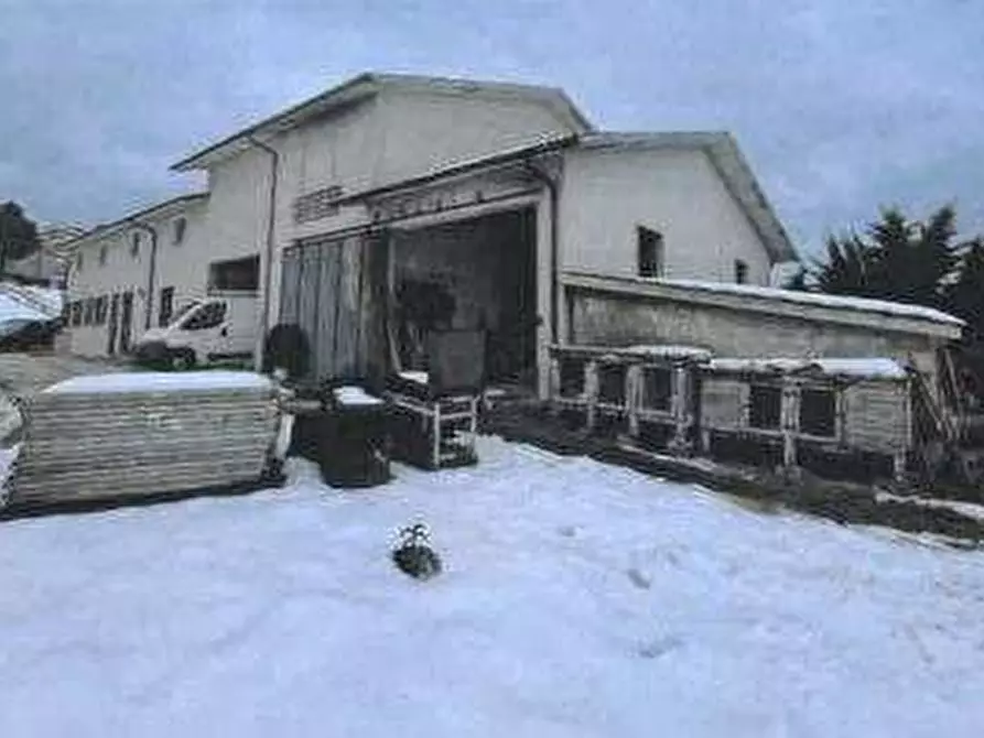 Immagine 2 di Azienda agricola in vendita  in Strada dei Magalotti a Frontone
