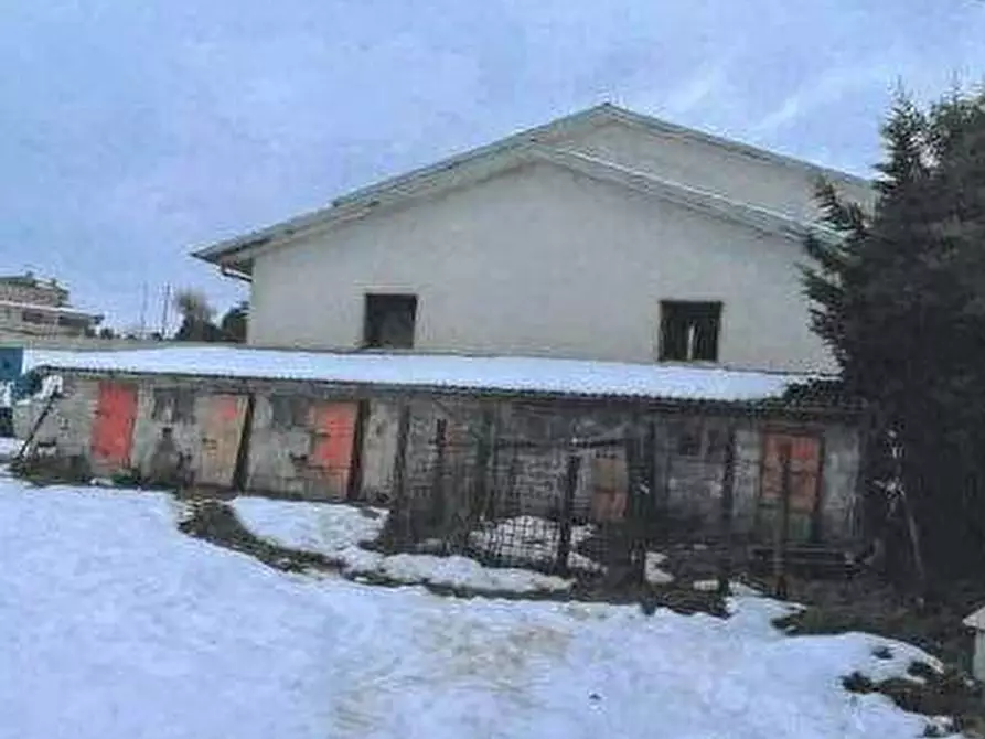 Immagine 3 di Azienda agricola in vendita  in Strada dei Magalotti a Frontone