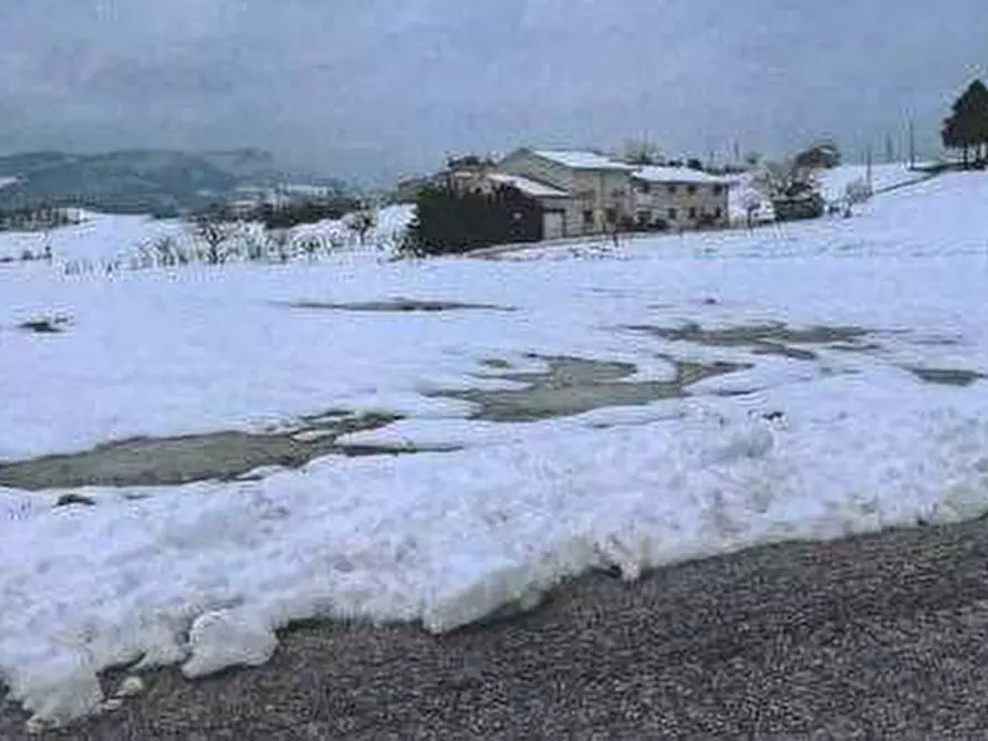 Immagine 4 di Azienda agricola in vendita  in Strada dei Magalotti a Frontone