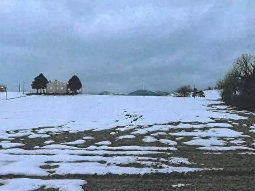 Immagine 5 di Azienda agricola in vendita  in Strada dei Magalotti a Frontone