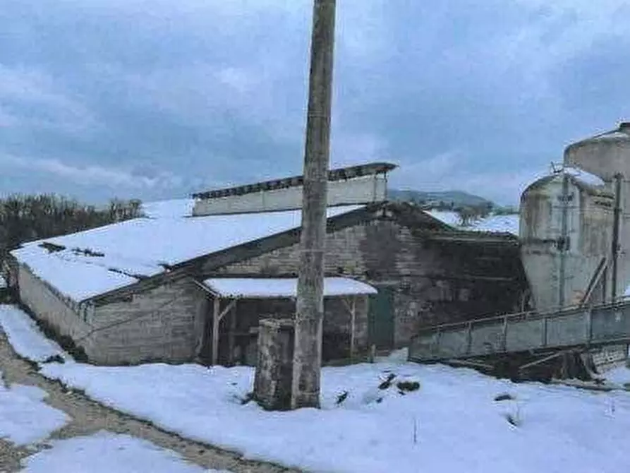 Immagine 1 di Azienda agricola in vendita  in Strada dei Magalotti a Frontone
