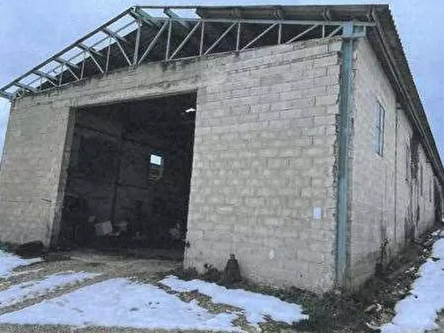 Immagine 3 di Azienda agricola in vendita  in Strada dei Magalotti a Frontone
