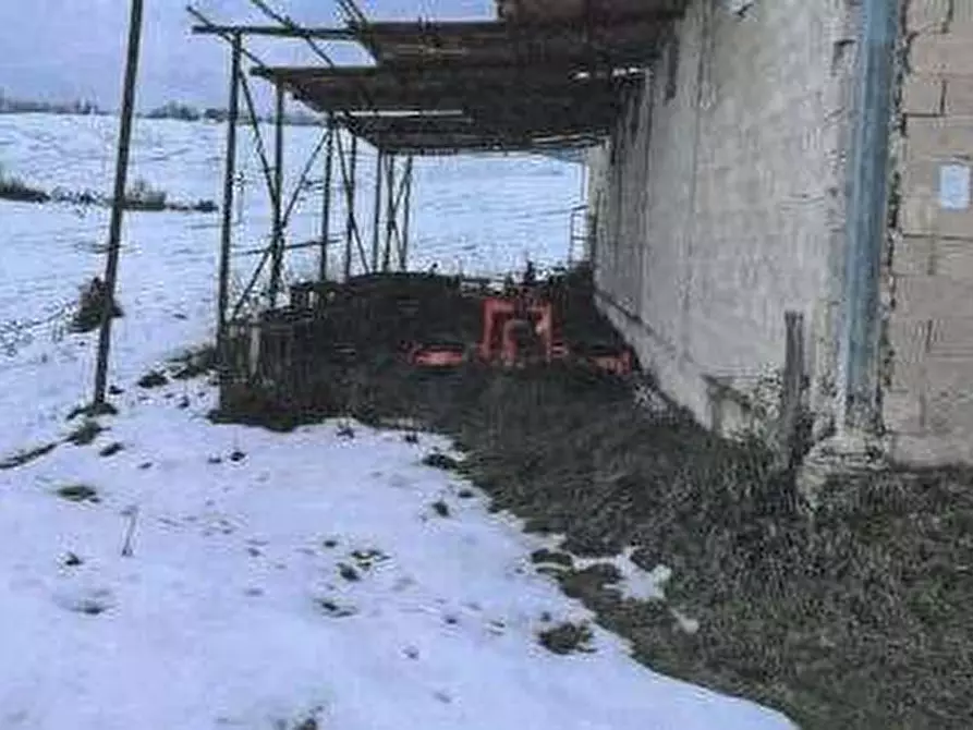 Immagine 4 di Azienda agricola in vendita  in Strada dei Magalotti a Frontone