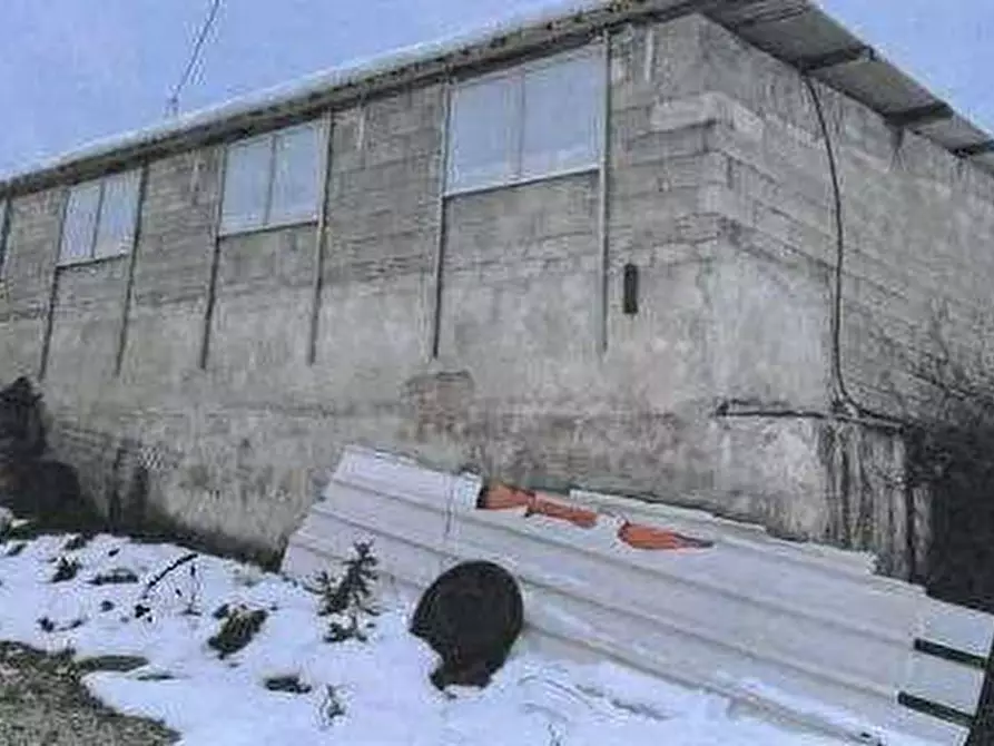 Immagine 5 di Azienda agricola in vendita  in Strada dei Magalotti a Frontone